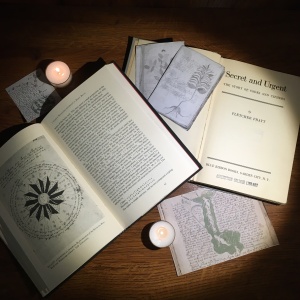 Picture of books on voynich