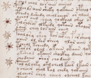 excerpt from Voynich Manuscript