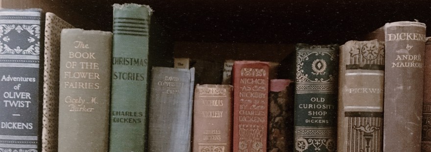 Shelf of books